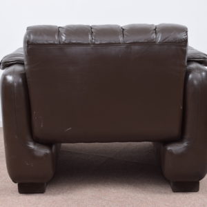 Brown Leather easy chair (set)